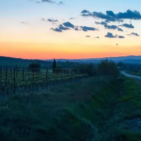 In With Private Pool & Vineyards * Pouzols-Minervois