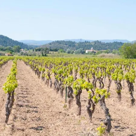 In With Private Pool & Vineyards